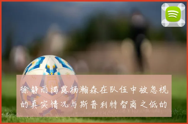徐静雨揭露杨瀚森在队伍中被忽视的真实情况与斯普利特智商之低的尴尬真相
